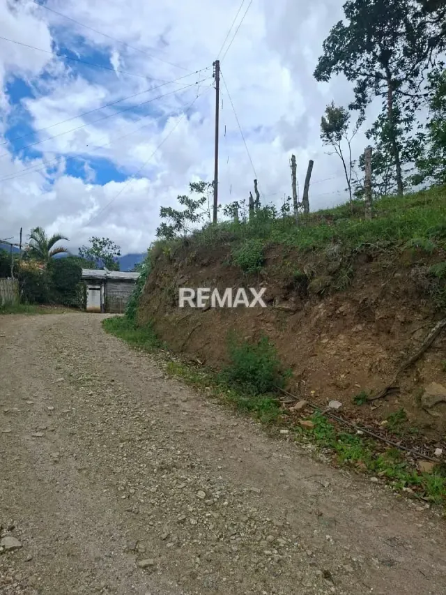 Se vende terreno en tamuco municipio Andres Bello - 8