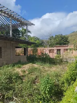 Vista 3