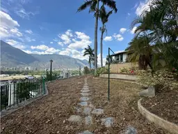 Vista 13