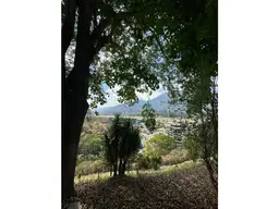 Vista 14