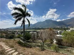 Vista 5