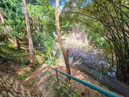 Vista 39
