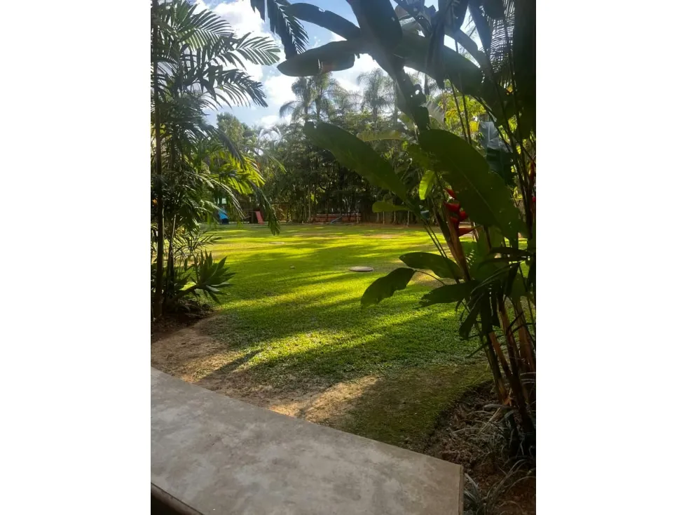 Vendo ph duplex 500m2 5h/5b/4p Campo alegre 4457