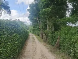View 11