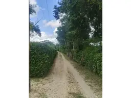View 14