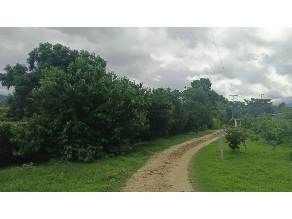 VENTA FINCA 15.000 mts2 MONTALBAN - 2
