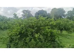 View 3