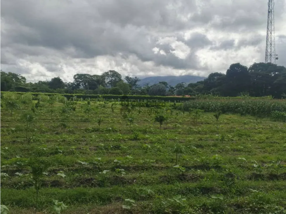 VENTA FINCA 15.000 mts2 MONTALBAN - 4