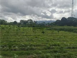 View 4