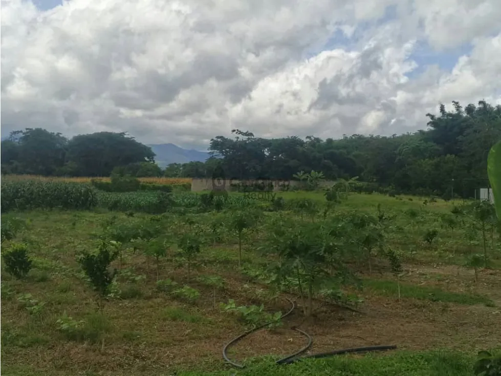 VENTA FINCA 15.000 mts2 MONTALBAN - 8