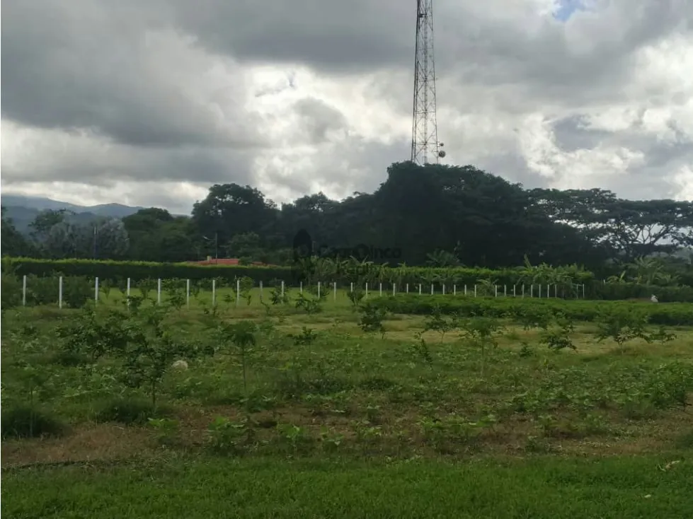 VENTA FINCA 15.000 mts2 MONTALBAN - 9