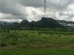 View 9