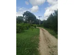 View 10