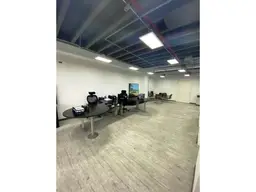 Vista 4