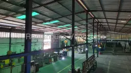 Vista 1