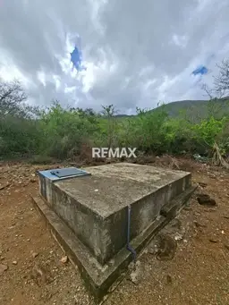 View 11