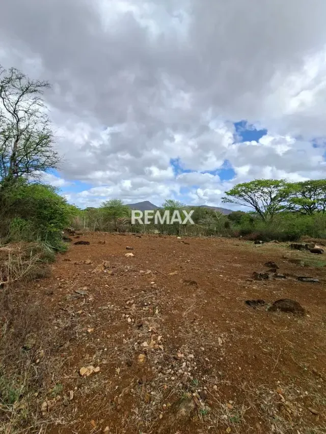 EN VENTA TERRENO CON BIENECHURIA EN SAN JUAN BAUTISTA - 12