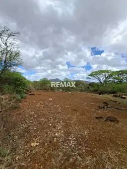 View 12