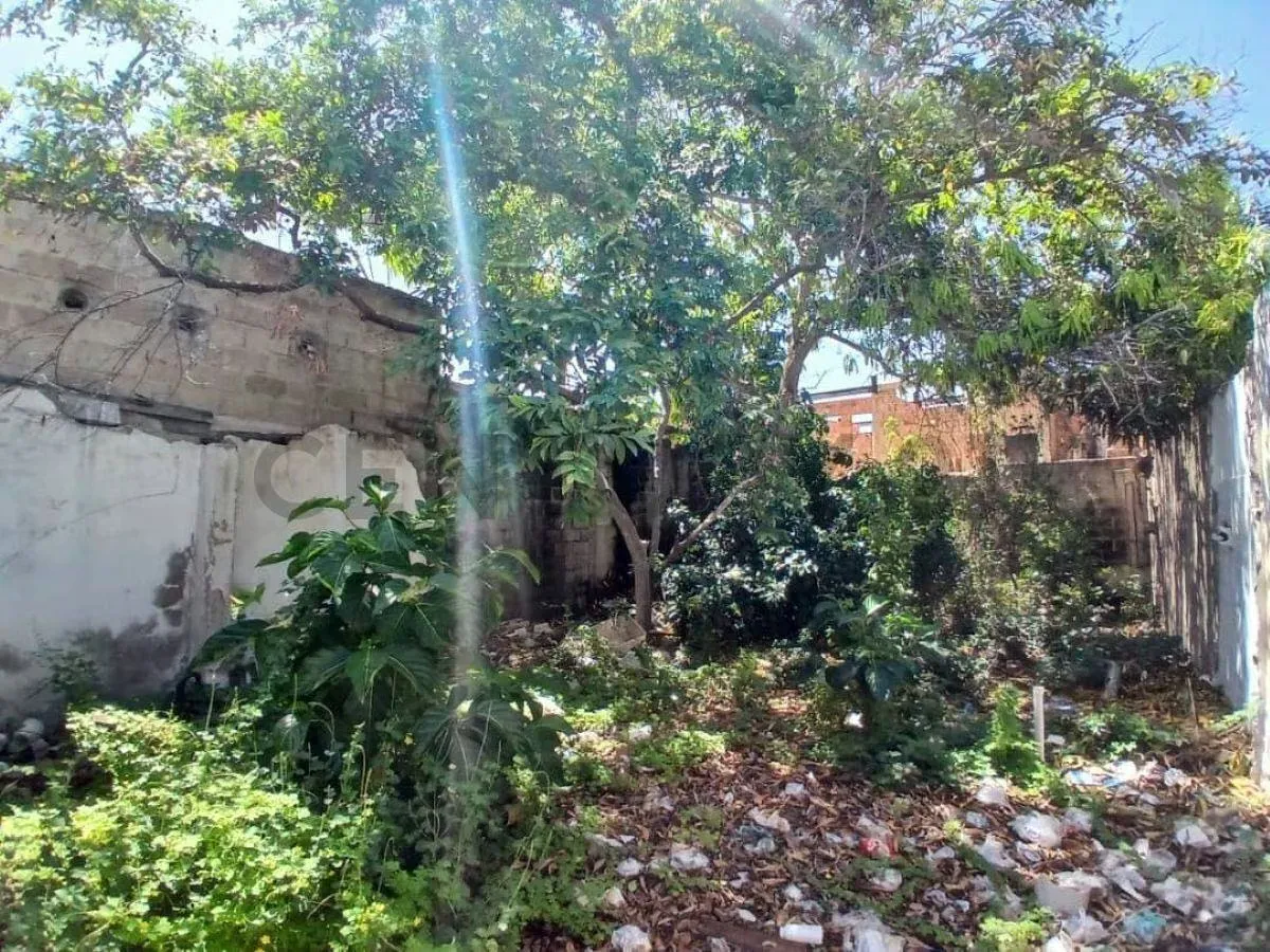 TERRENO IDEAL PARA COMERCIO O VIVIENDA FAMILIAR EN UBICACION PRIVILEGIADA - 3