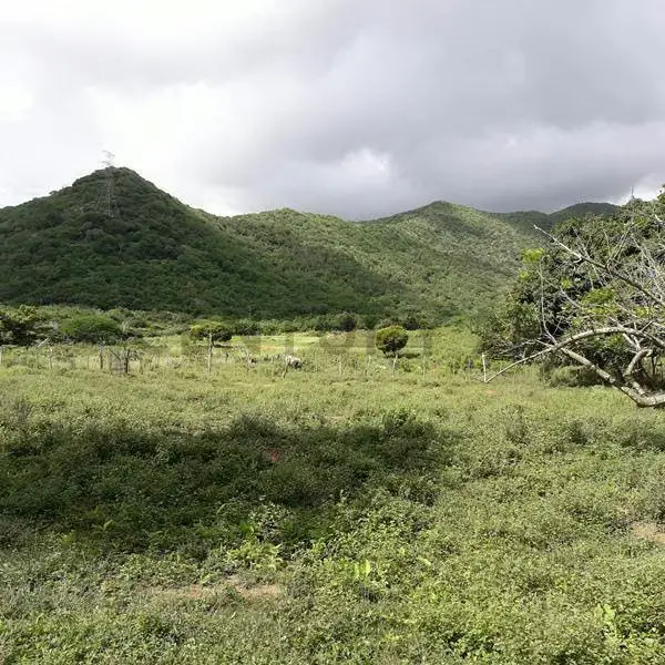 Terreno ubicado en Guatamare, Margarita