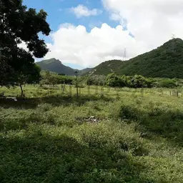 Vista 11