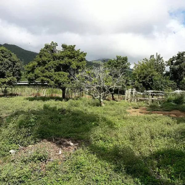 Terreno ubicado en Guatamare, Margarita - 3