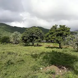 Vista 4