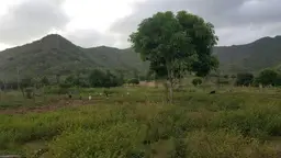Vista 5