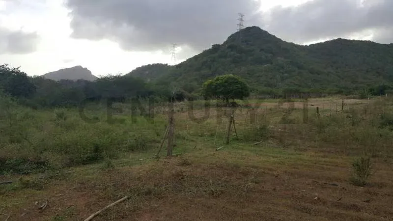 Terreno ubicado en Guatamare, Margarita - 8