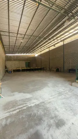 Vista 5