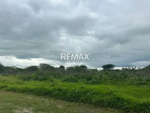 VENTA DE PARCELA DE TERRENO EN ZONA INDUSTRIAL EL TIGRE, GUACARA; 50.000$ - 11