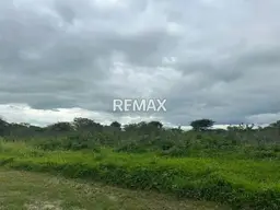 View 11