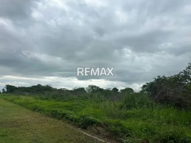 VENTA DE PARCELA DE TERRENO EN ZONA INDUSTRIAL EL TIGRE, GUACARA; 50.000$ - 13