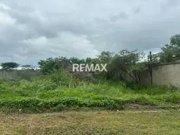 View 15