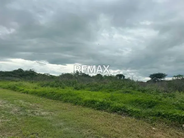 VENTA DE PARCELA DE TERRENO EN ZONA INDUSTRIAL EL TIGRE, GUACARA; 50.000$ - 5