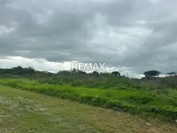 View 5