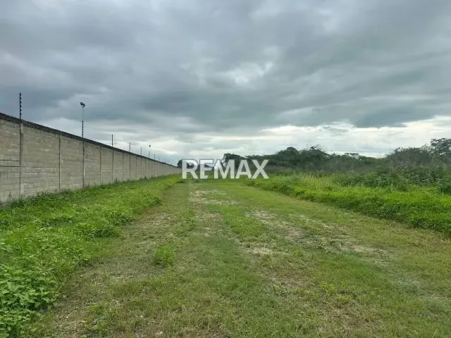 VENTA DE PARCELA DE TERRENO EN ZONA INDUSTRIAL EL TIGRE, GUACARA; 50.000$ - 7