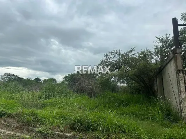 VENTA DE PARCELA DE TERRENO EN ZONA INDUSTRIAL EL TIGRE, GUACARA; 50.000$ - 8