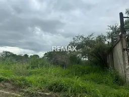 View 8