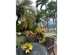 Vista 4