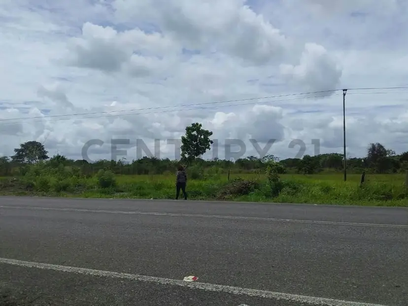 Vendo terreno en el sector de Parare