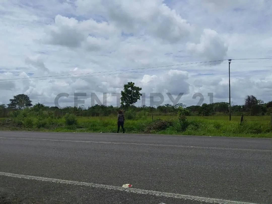 Vendo terreno en el sector de Parare