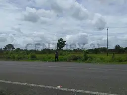 View 1