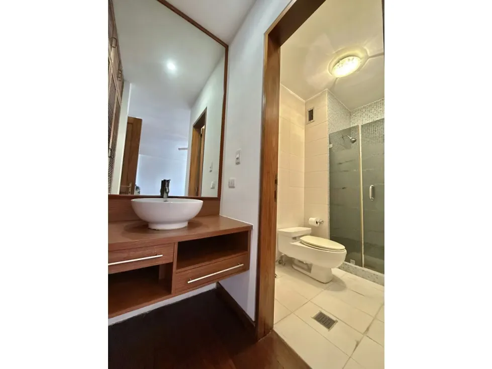 Se vende/alquila apto 315 m2 4h+s/4.5b+s/4p Lomas de San Roman - 13