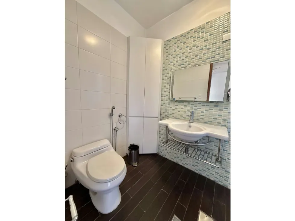 Se vende/alquila apto 315 m2 4h+s/4.5b+s/4p Lomas de San Roman - 15