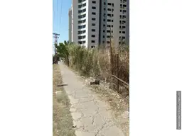 Vista 3