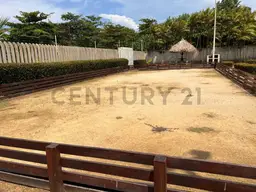 View 14