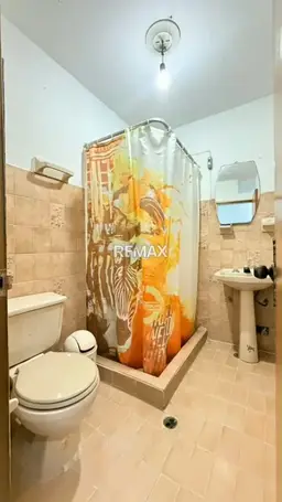 Vista 6