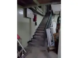 Vista 13