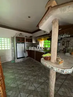 Vista 19
